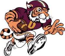 Load image into Gallery viewer, Retro football tiger - Pet bandana collar